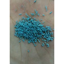 Biji Rumput Lapangan Sepak Bola 100 gr Biji Rumput Lapangan Sepak Bola 100 gr