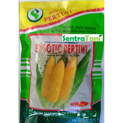 Benih Jagung Manis Exotic 250 Gram Benih Jagung Manis Exotic 250 Gram