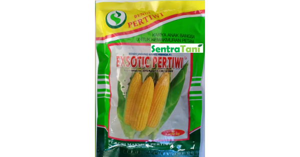 Jual Benih Jagung Manis Exotic 250 Gram HP : 085608566034