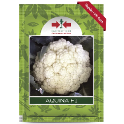 Benih Kembang Kol Aquina 10 Gram Benih Kembang Kol Aquina 10 Gram