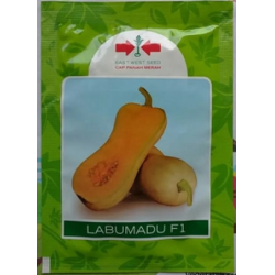 Benih Labu Madu F1 50 Biji Benih Labu Madu F1 50 Biji