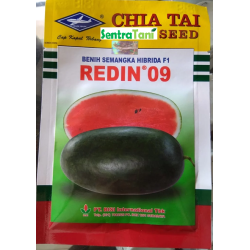 Benih Semangka Hibrida F1 Redin 09 10 Gr Benih Semangka Hibrida F1 Redin 09 10 Gr
