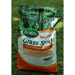 Biji Rumput Lapangan Sepak Bola 1 kg Biji Rumput Lapangan Sepak Bola 1 kg