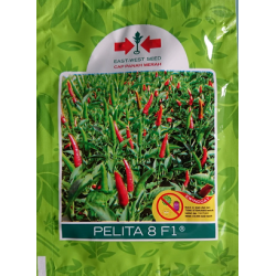 Cabe Rawit Hijau PELITA 8 2250 Biji Cabe Rawit Hijau PELITA 8 2250 Biji