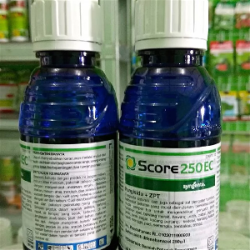 Fungisida ZPT SCORE 250 EC 80 Ml