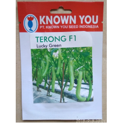 Terong Lucky Green Terong Lucky Green