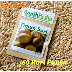 Timun Suri 50s Timun Suri 50s
