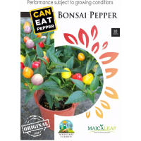 Cabe Hias Bonsai Pepper Maica Leaf 10s Seeds