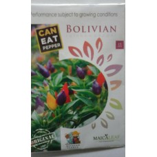 Cabe Hias Bolivian Rainbow Exotic Pepper Maicaleaf 15s 