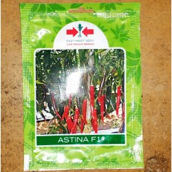 Cabe Merah ASTINA F1 125s Cabe Merah ASTINA F1 125s