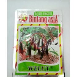 BENIH BINTANG ASIA TERONG WELUT 10GR BENIH BINTANG ASIA TERONG WELUT 10GR