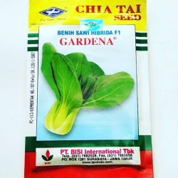 BENIH CHIA TAI SEED SAWI GARDENA F1 15GR BENIH CHIA TAI SEED SAWI GARDENA F1 15GR