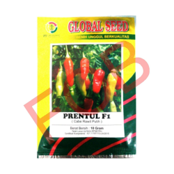 BENIH GLOBAL SEED CABE PRENTUL F1 10GR