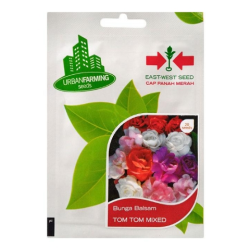 BENIH PANAH MERAH BUNGA BALSAM TOM TOM MIXED BENIH PANAH MERAH BUNGA BALSAM TOM TOM MIXED