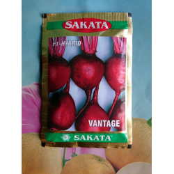 Beetroot Hibrida VANTAGE 25gr Beetroot Hibrida VANTAGE 25gr