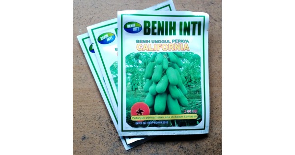 jual benih pepaya unggul california jual benih pepaya unggul california