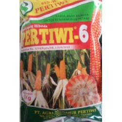 Jagung Hibrida Pertiwi 6 Jagung Hibrida Pertiwi 6