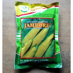 Jagung Manis JAMBORE 1.700s Jagung Manis JAMBORE 1.700s