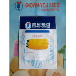 Benih Bibit Zuchini Jukini Kuning CHERUB 5gr