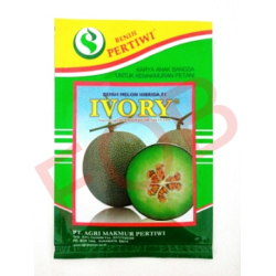 Benih L Pertiwi L Melon Ivory 13gr Benih L Pertiwi L Melon Ivory 13gr