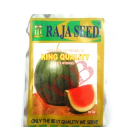 Benih Raja Seed Semangka Non Biji King Quality Benih Raja Seed Semangka Non Biji King Quality