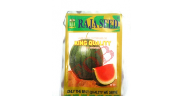 Jual Benih Raja Seed Semangka Non Biji King Quality  HP: 085608566034