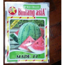 Semangka Hibrida Made F1 Semangka Hibrida Made F1