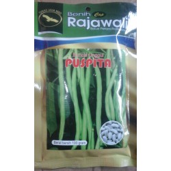 Buncis Puspita 100g Buncis Puspita 100g