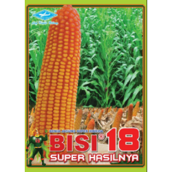 Jagung Hibrida Bisi 18 Jagung Hibrida Bisi 18