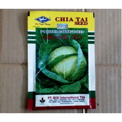 Kubis Hibrida F1 GRAND 15g Kubis Hibrida F1 GRAND 15g