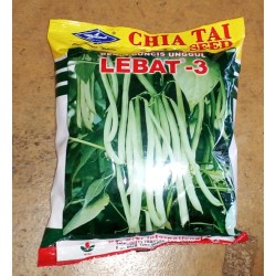 Buncis Lebat 3 Buncis Lebat 3