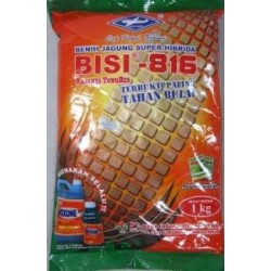 Jagung Hibrida Bisi 816 Jagung Hibrida Bisi 816