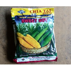 Jagung Manis Hibrida SWEET BOY Jagung Manis Hibrida SWEET BOY