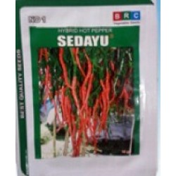 Cabe Keriting SEDAYU Cabe Keriting SEDAYU