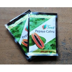 Benih Pepaya Calina IPB9 Isi 150 Biji Benih Pepaya Calina IPB9 Isi 150 Biji