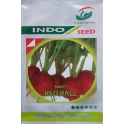 Radish F1 Red Ball Radish F1 Red Ball