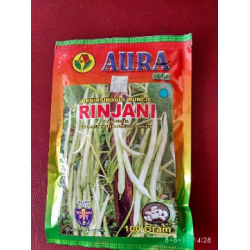 BENIH AURA SEED BUNCIS RINJANI 100GR BENIH AURA SEED BUNCIS RINJANI 100GR