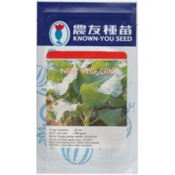 Sayur Kailan Sayur Kailan