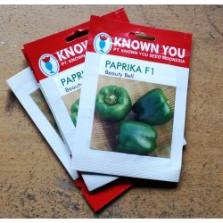 Paprika Hijau - Paprika F1 Beauty Bell 15s Paprika Hijau - Paprika F1 Beauty Bell 15s