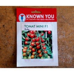 Tomat Mini F1 Ruby Tomat Mini F1 Ruby
