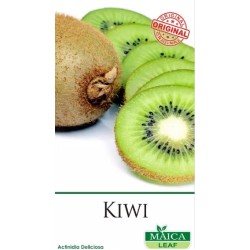 Kiwi Maicaleaf 20s Kiwi Maicaleaf 20s