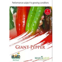 Cabe GIANT PEPPER Maicaleaf 7s Cabe GIANT PEPPER Maicaleaf 7s
