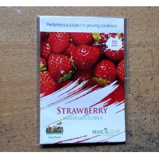 Strawberry Maicaleaf 50s