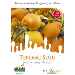 Terong Susu Maicaleaf 10s Terong Susu Maicaleaf 10s