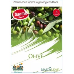 Olive Zaitun Maicaleaf 5s Olive Zaitun Maicaleaf 5s