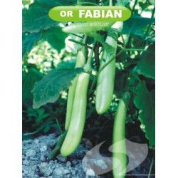 Terong Hijau FABIAN Terong Hijau FABIAN