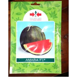 Semangka Tanpa Biji AMARA F1 Semangka Tanpa Biji AMARA F1