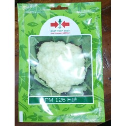 Kembang Kol PM 126 F1 10g Kembang Kol PM 126 F1 10g
