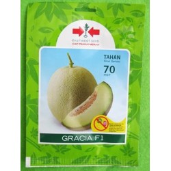 Melon Gracia F1 40s Melon Gracia F1 40s