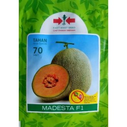 Melon MADESTA F1 200s Melon MADESTA F1 200s